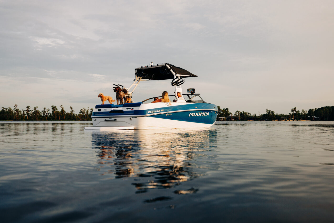 A family with their pet relaxing on a Moomba wake boat.