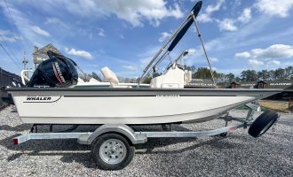 2025-Boston_Whaler-150_Montauk-ID08653282_1