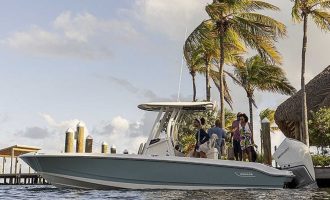 2025-Boston_Whaler-250_Dauntless-ID00034374_1
